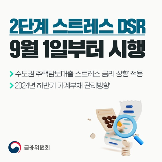 스트레스 DSR